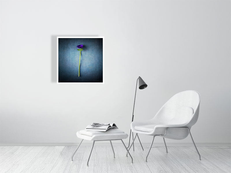 9920636-4163694