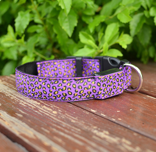 LED Hundehalsband mit Leopardenmuster
