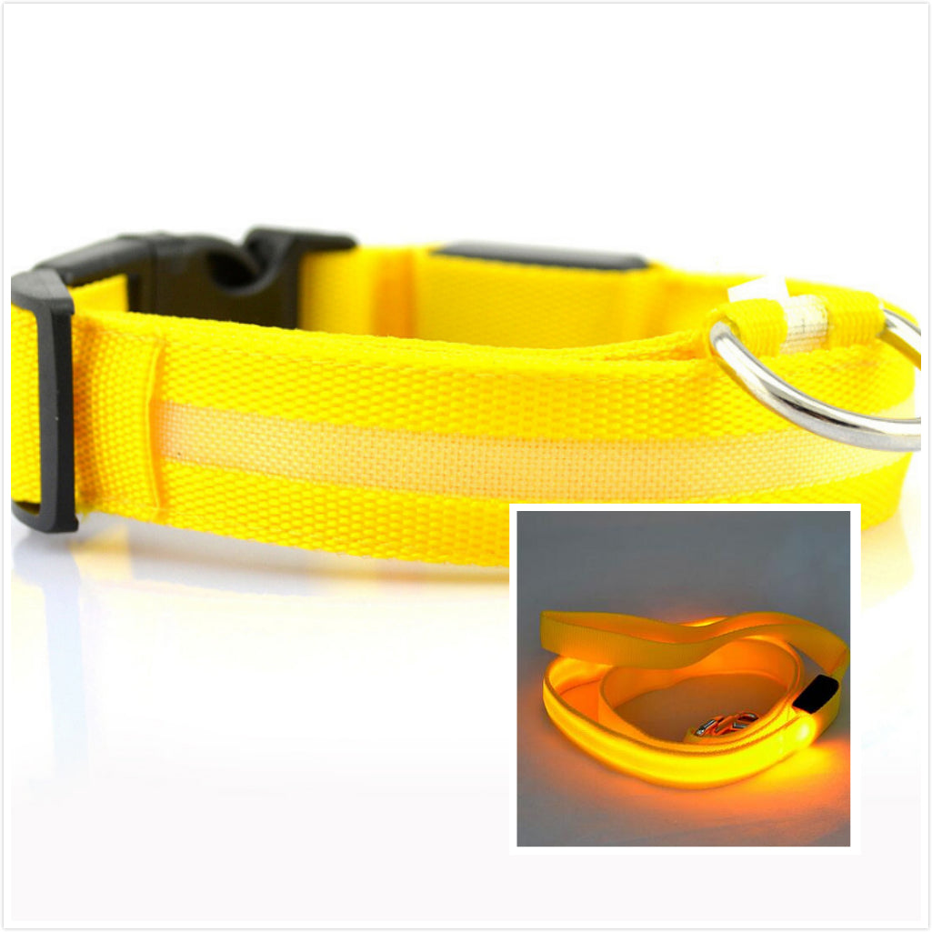 LED Leucht-Halsband