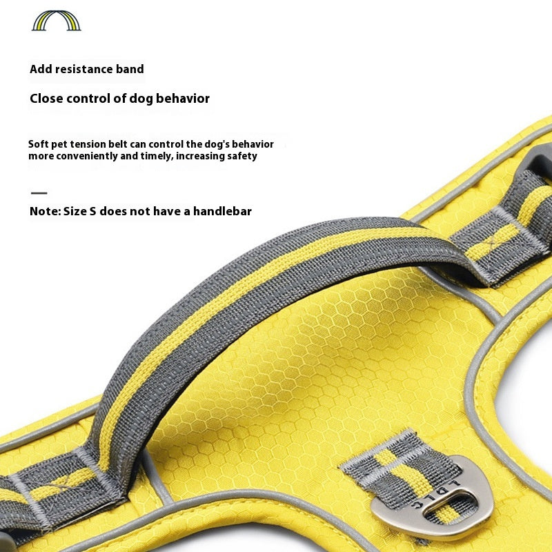 Hunde Geschirr für kleine und große Hunde