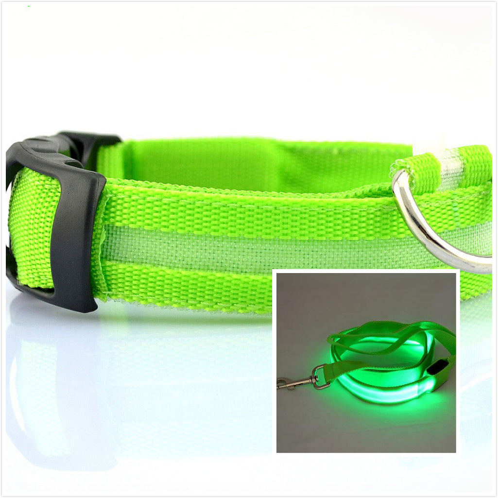LED Leucht-Halsband