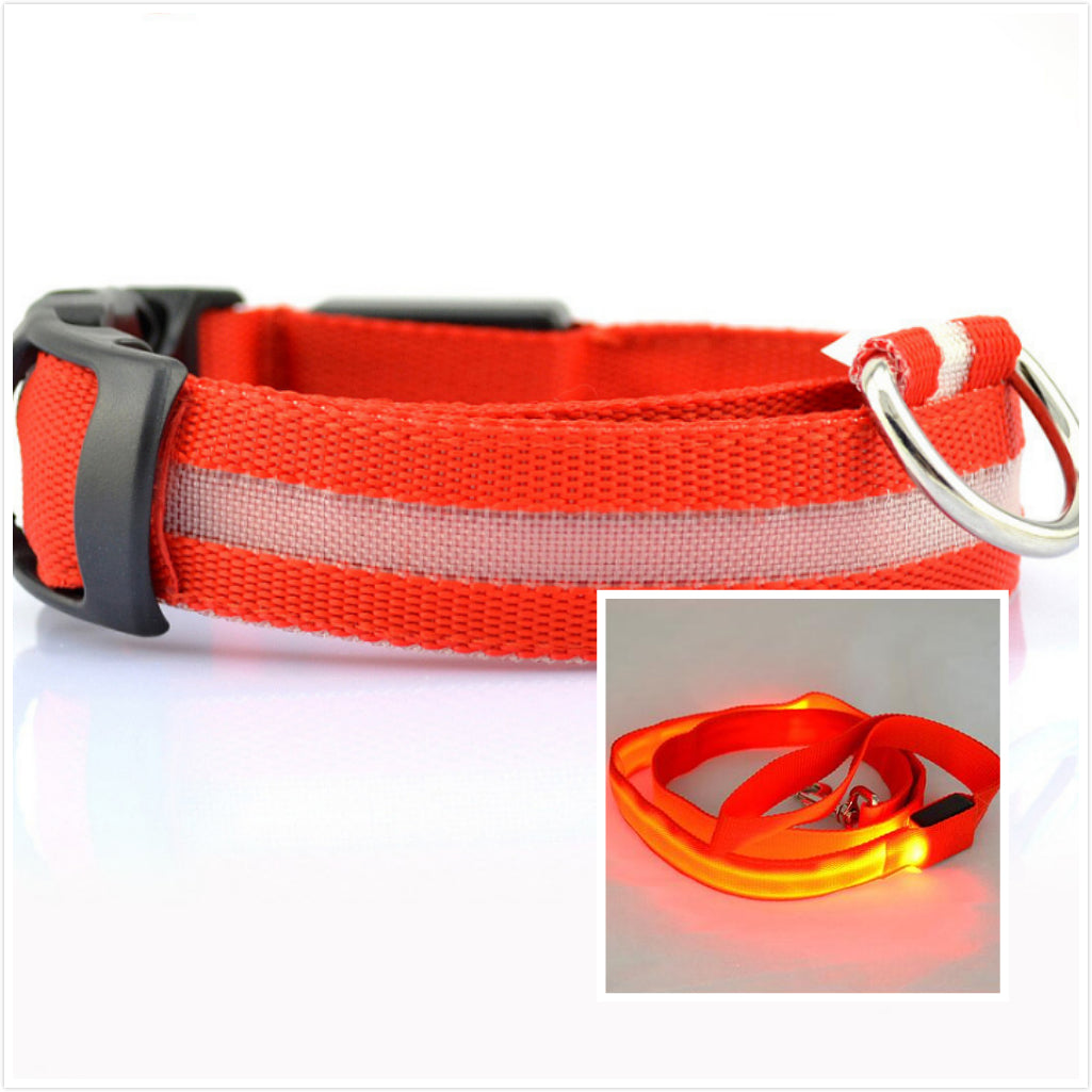 LED Leucht-Halsband