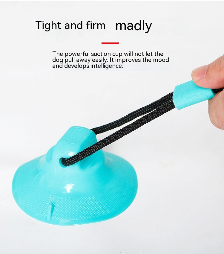 Hundeball mit Saugnapf und Zahnreinigungseffekt