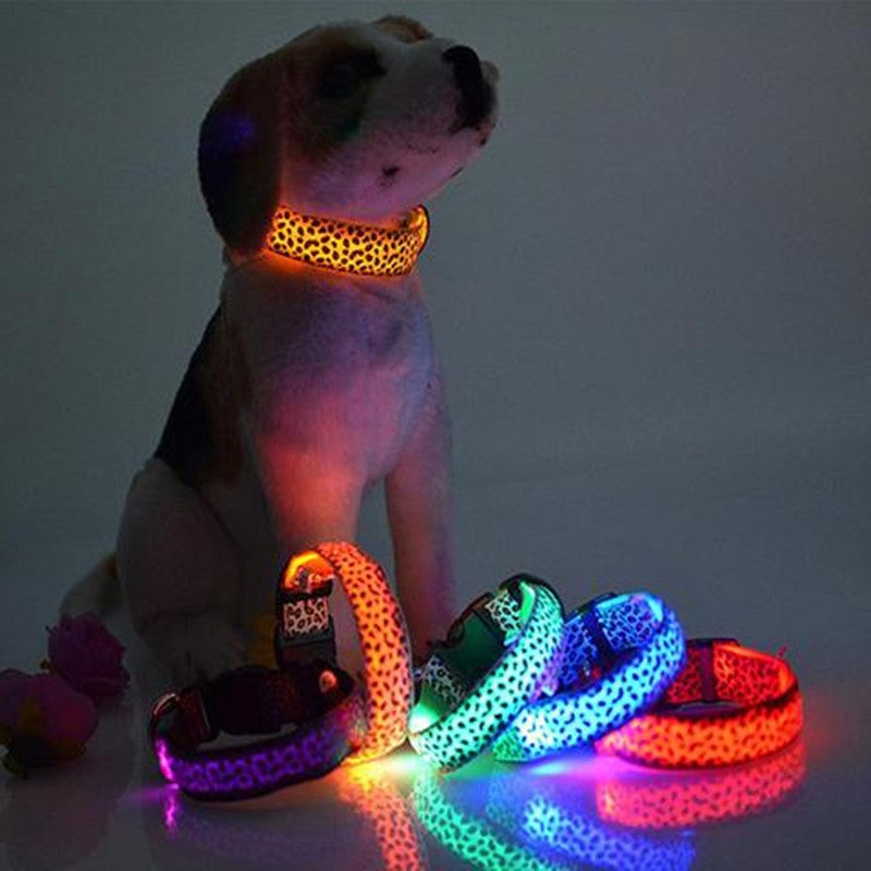 LED Hundehalsband mit Leopardenmuster