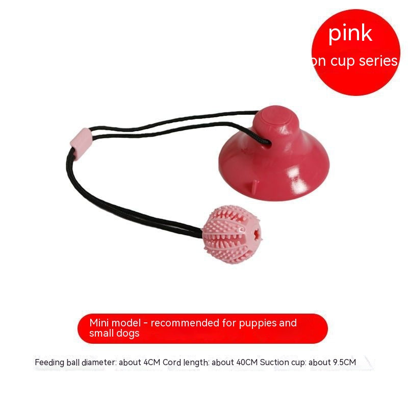 Hundeball mit Saugnapf und Zahnreinigungseffekt