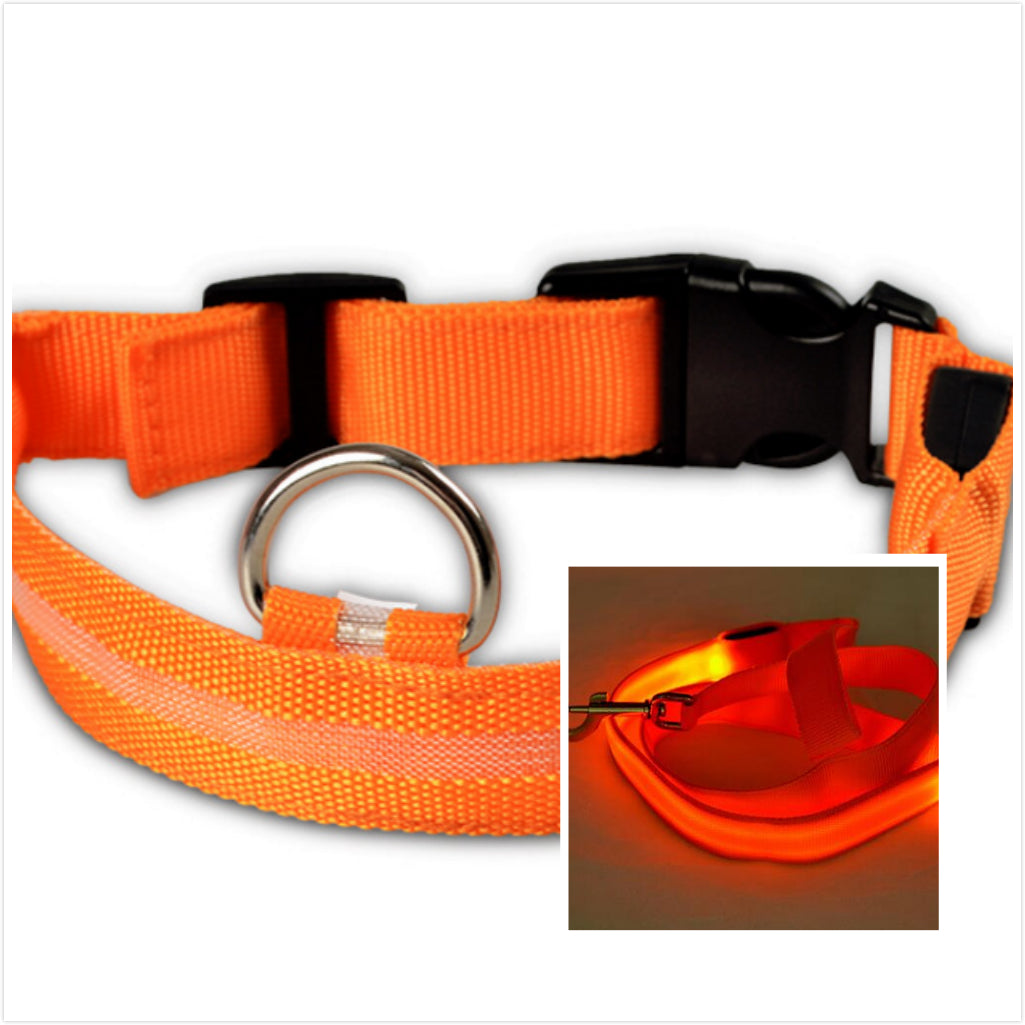 LED Leucht-Halsband