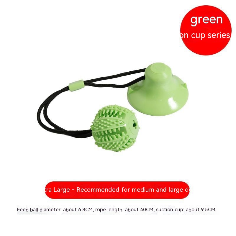 Hundeball mit Saugnapf und Zahnreinigungseffekt