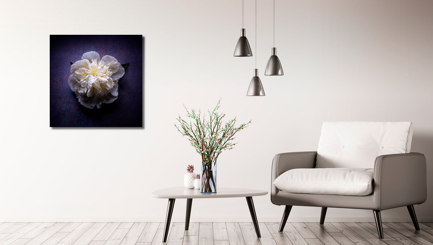 Midnight Bloom