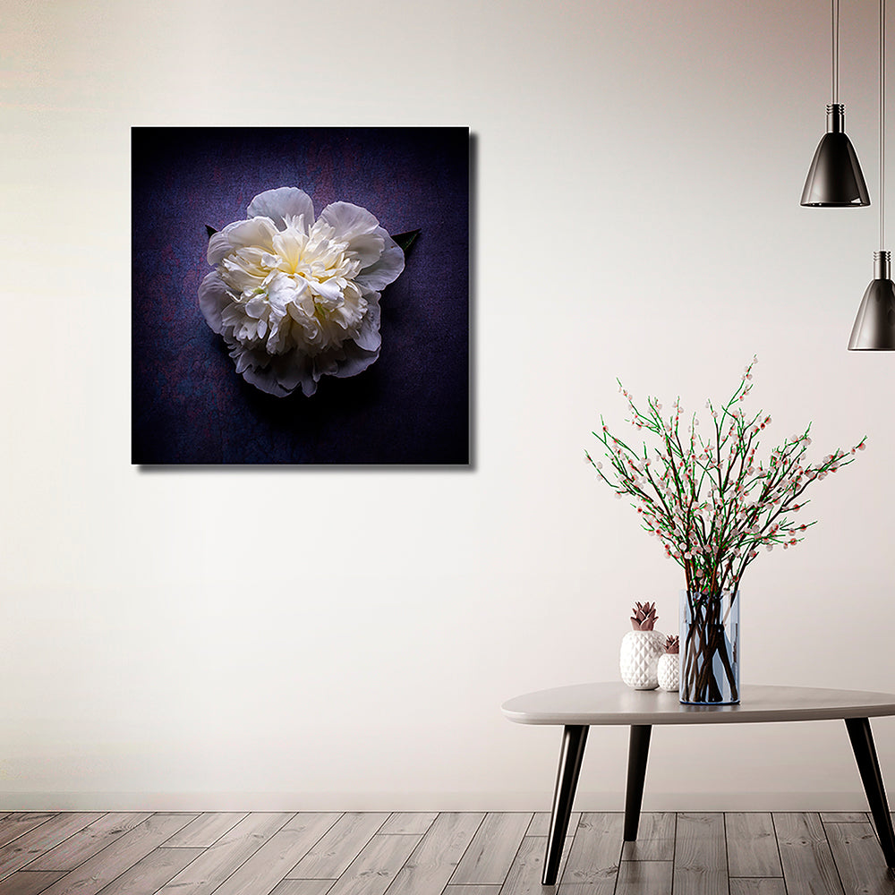 Midnight Bloom