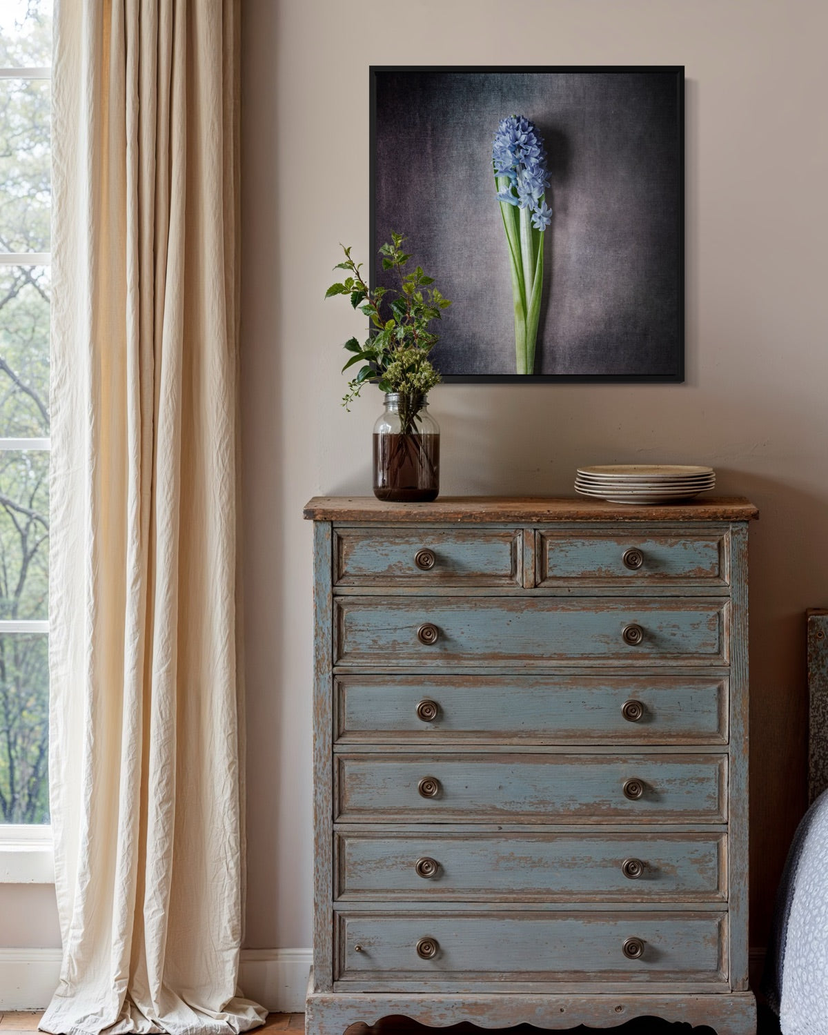 Hyacinth - Ash