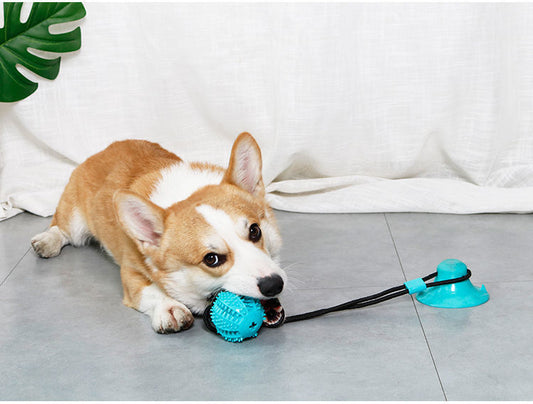 Hundeball mit Saugnapf und Zahnreinigungseffekt