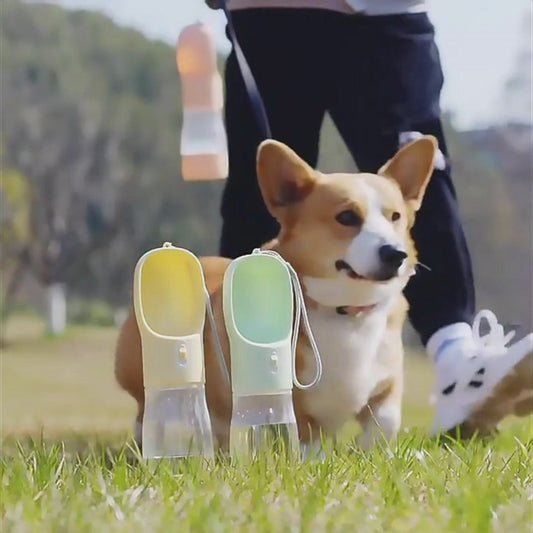 Trinkflasche mit Leckerlie-Behälter